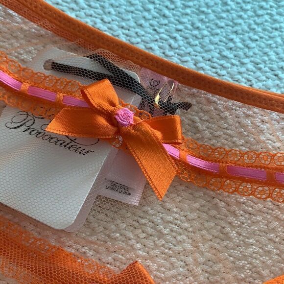 🧡 NWT Agent Provocateur Pollie Sheer See Through Brief - Picture 6 of 8